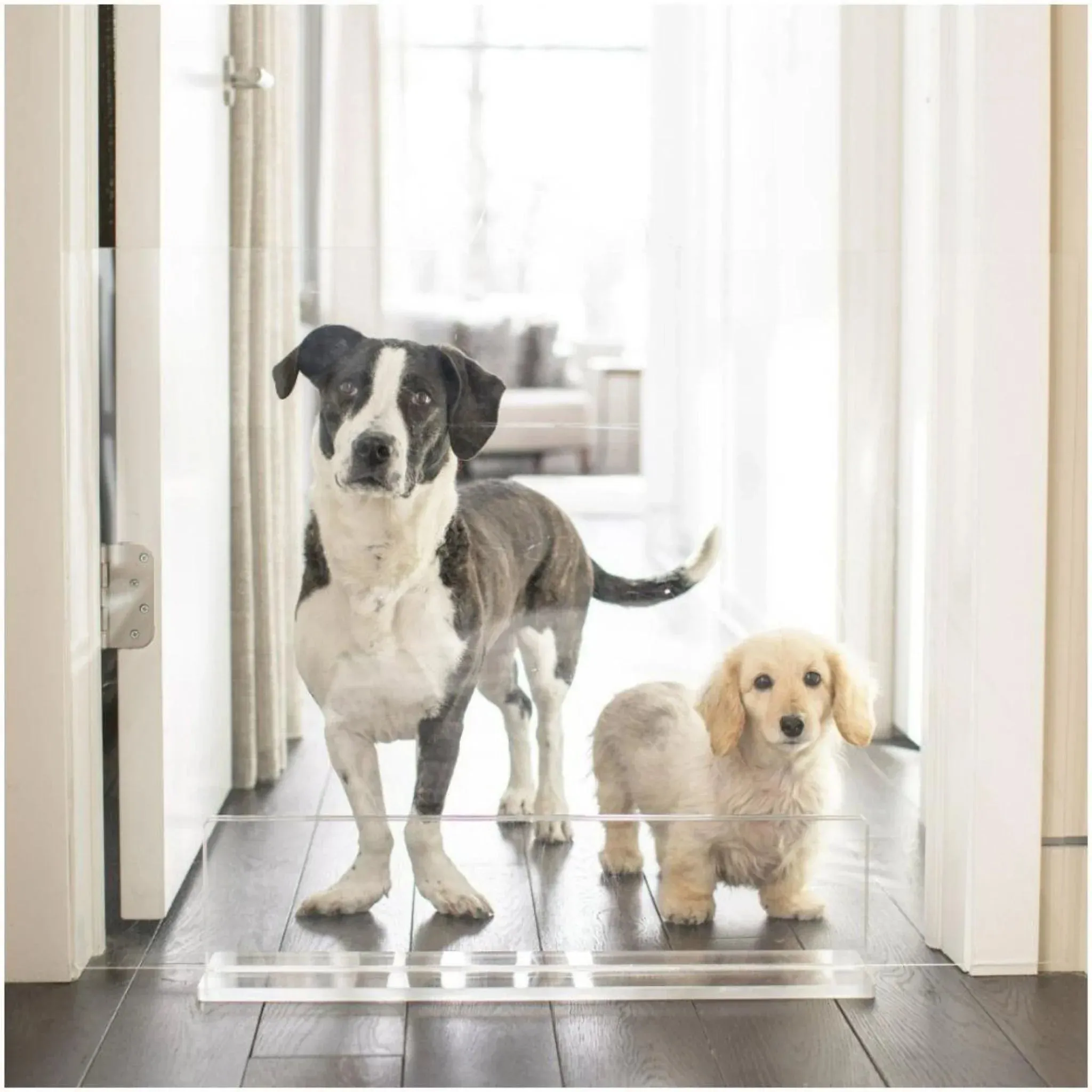 32" Clear Freestanding Pet Gate Panel