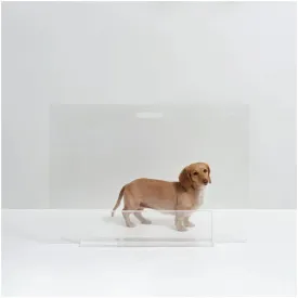 32" Clear Freestanding Pet Gate Panel