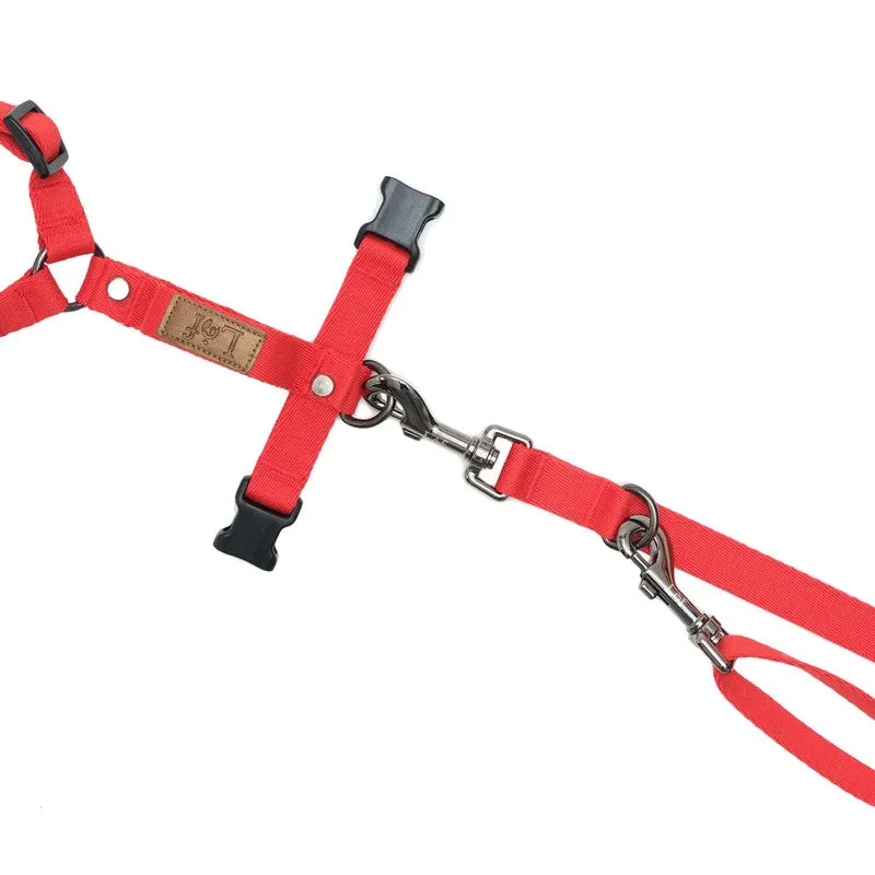 Adjustable Lof Folding Lead Leash for Dogs