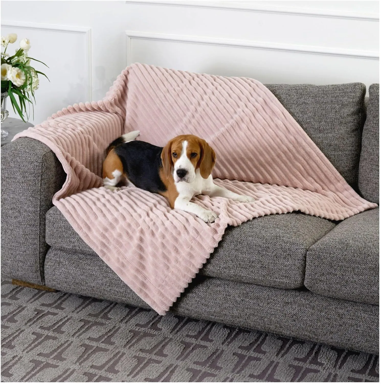 BALANCE Waterproof Dog Blanket - Acorn Pink for Small Dogs, Washable Double Sided With Milk Plush and Super Soft Velvet, Pee Proof Calming Pet Blanket for Couch Protection