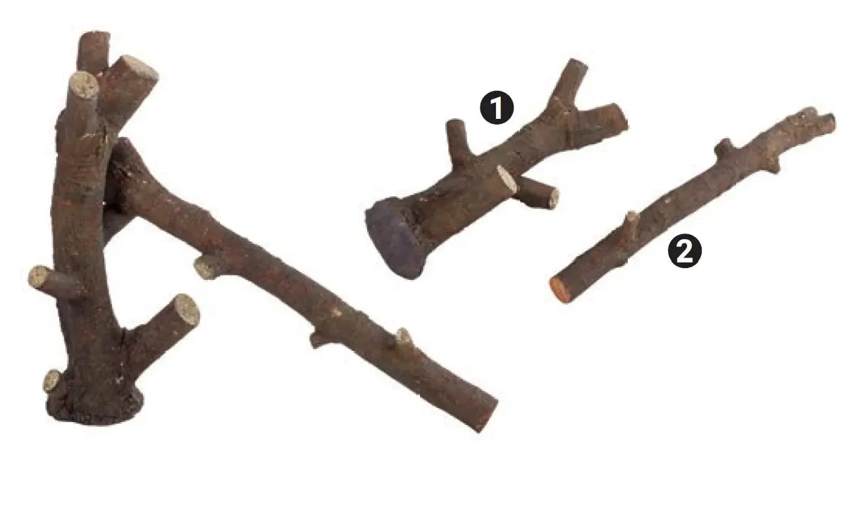Build N Bask Modular Branches