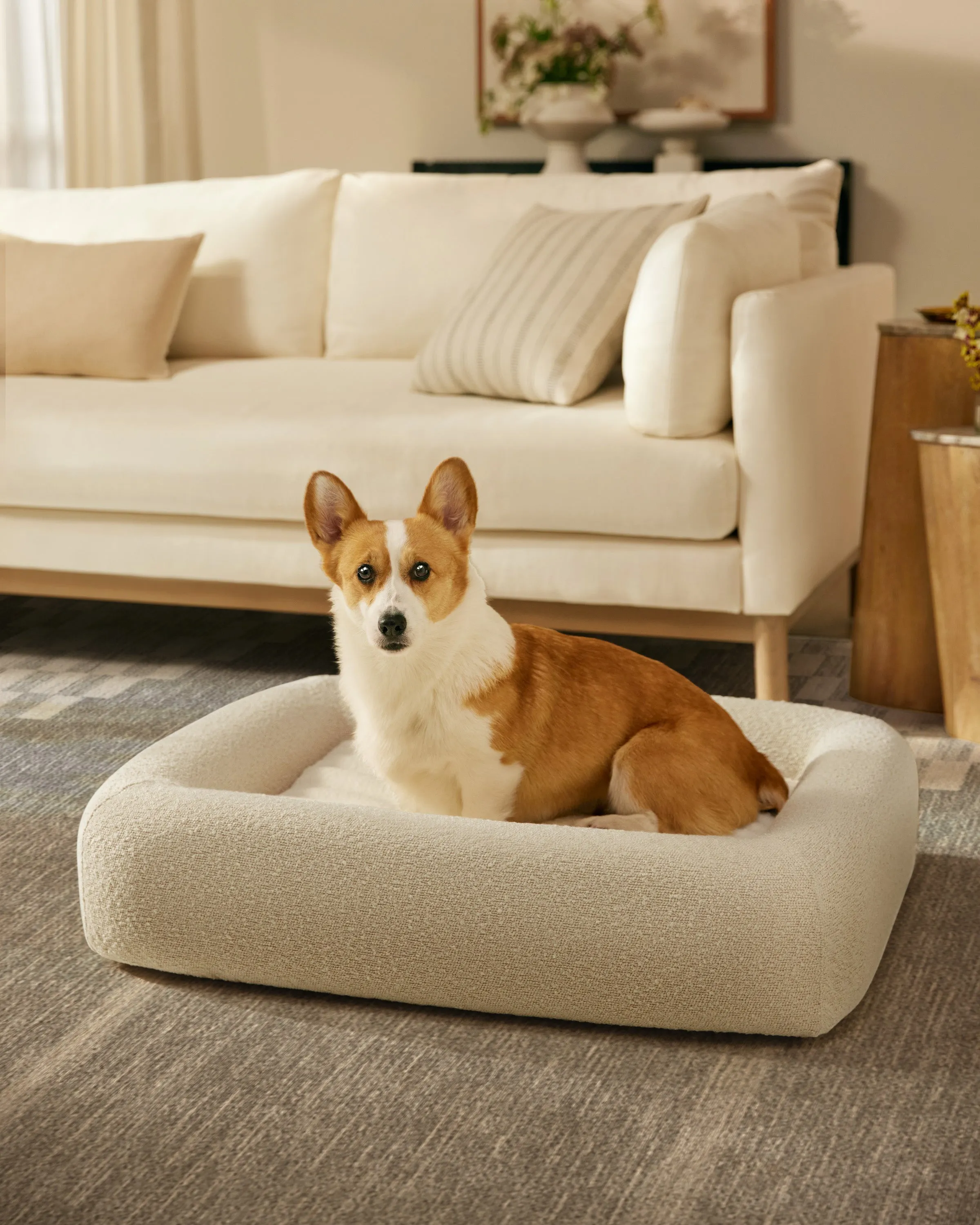 Cream Boucle Bolster Pet Bed