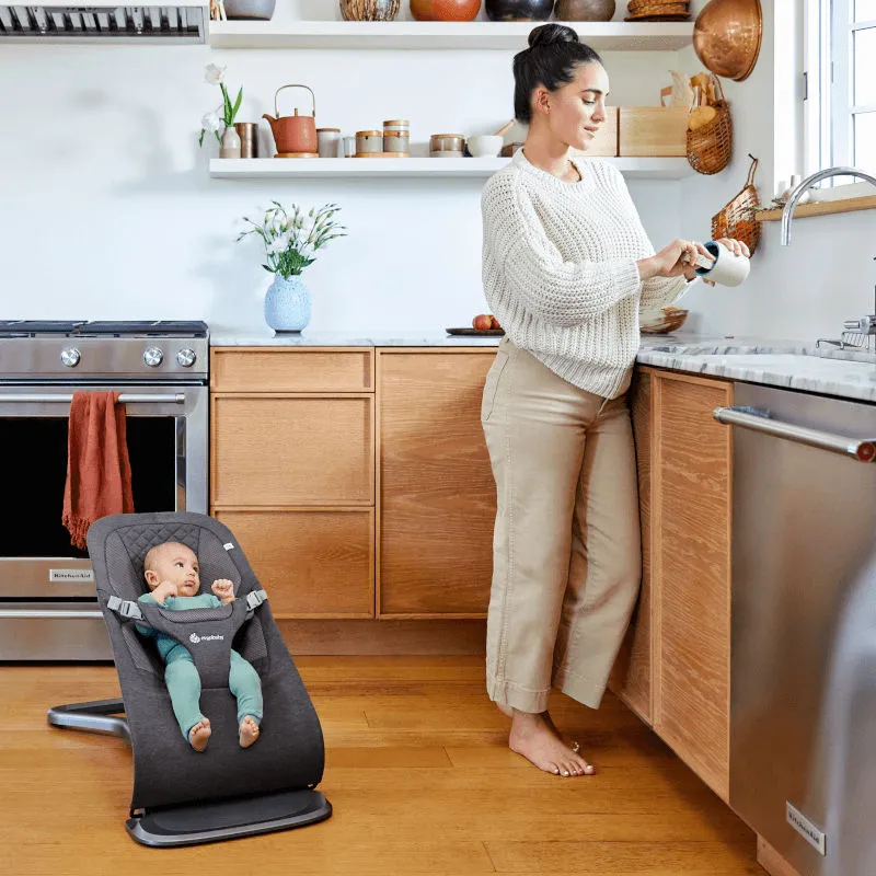 Ergobaby Evolve 3-in-1 Bouncer