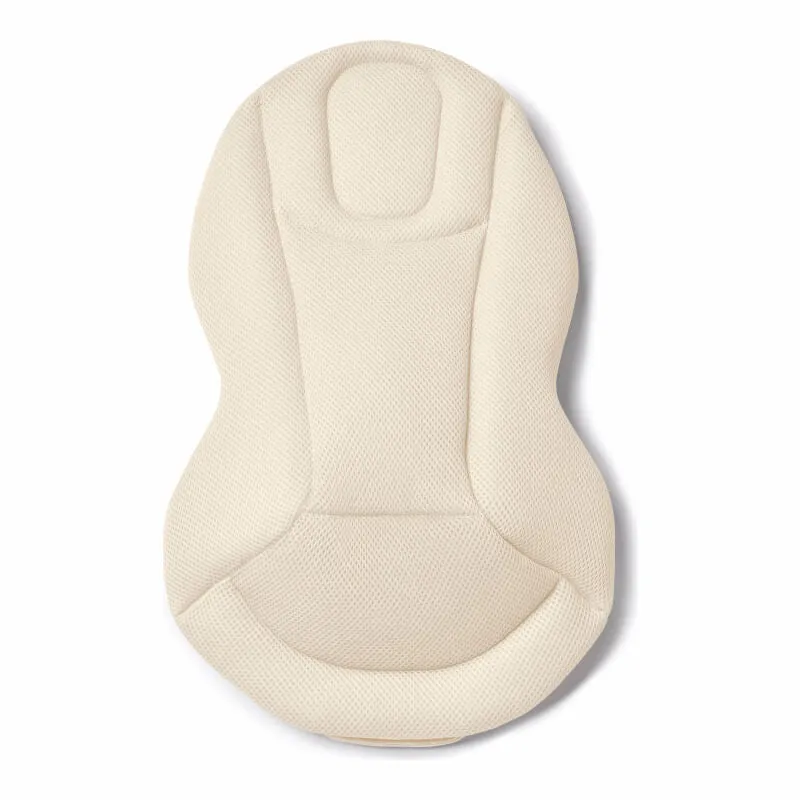 Ergobaby Evolve 3-in-1 Bouncer