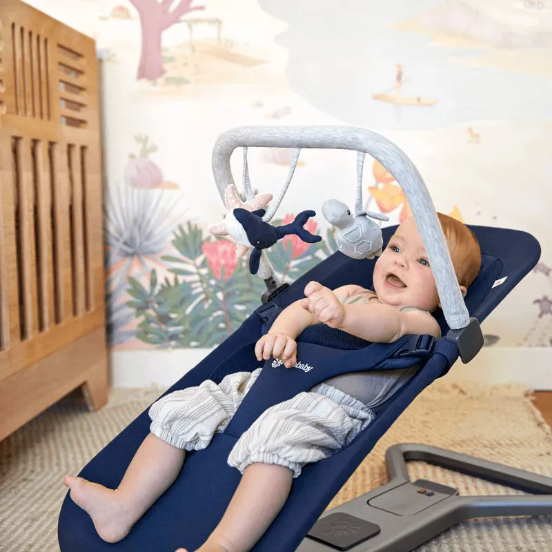 Ergobaby Evolve 3-in-1 Bouncer