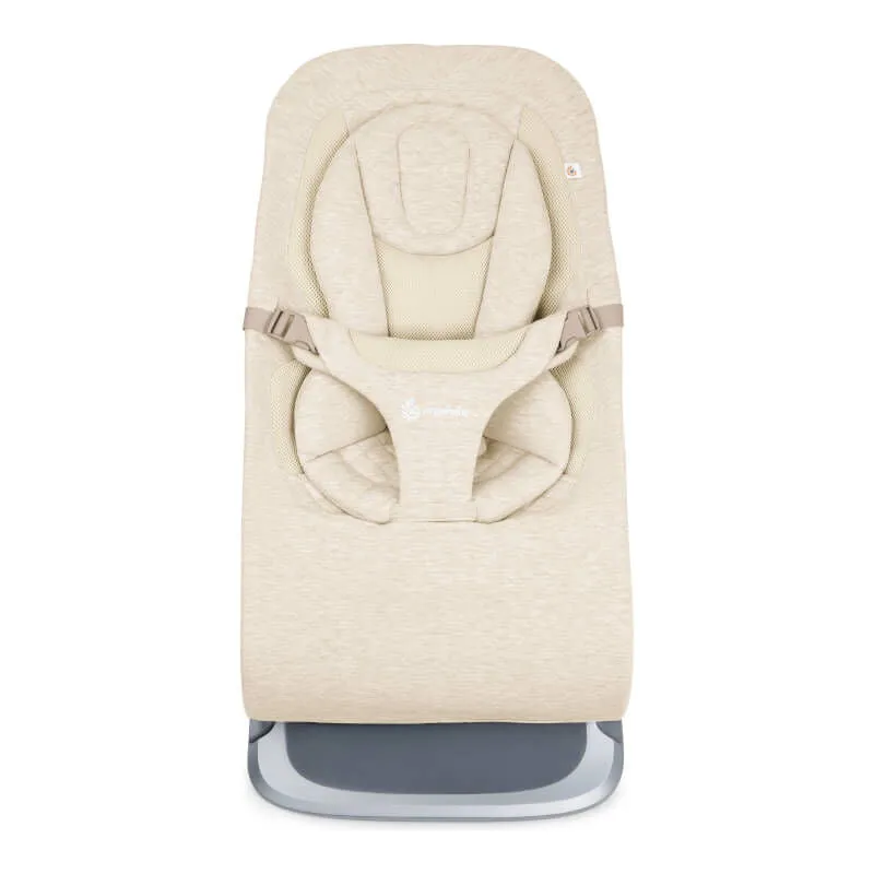 Ergobaby Evolve 3-in-1 Bouncer