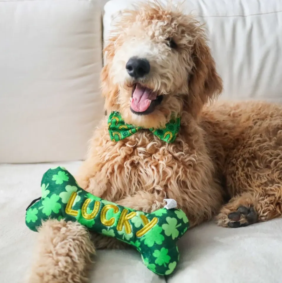 Huxley & Kent Lucky Charm Bone Power Plush Dog Toy - Size Small