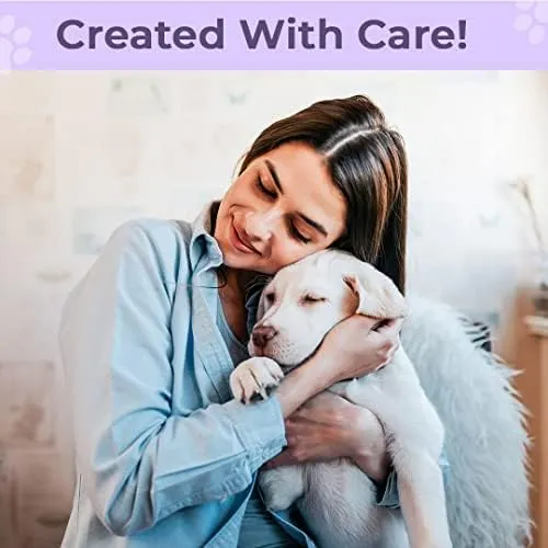Kuber Industries Dog & Cat Bed|Super Soft Plush Top Pet Bed|Oxford Cloth Polyester Filling| Washable Dog Bed|Rectangular Cat Bed with Rise-Edge Pillow|QY036P-L|Purple(Pack of 2)