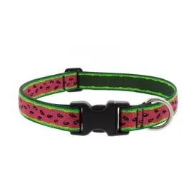 Lupine Adjustable Collar 1" Wide X 16-28" Neck Size Watermelon