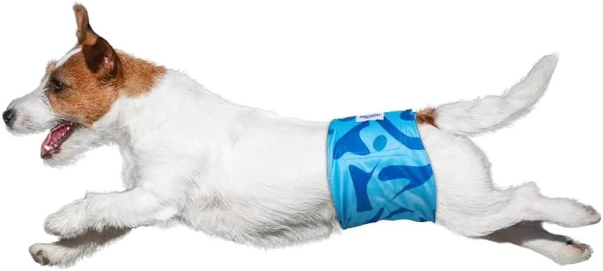 MICOOYO Belly Bands for Male Dogs, 3 Pack Reusable Dog Diapers Male for Puppy Doggie, Washable Male Dog Wraps XSmall (XS, Rainforest)
