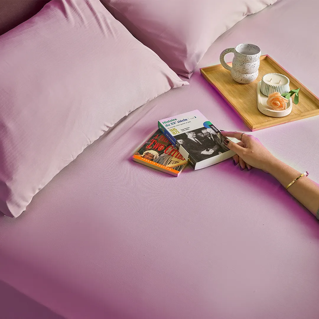 Microfiber Plain Bed Sheet Set with 2 Pillow cases