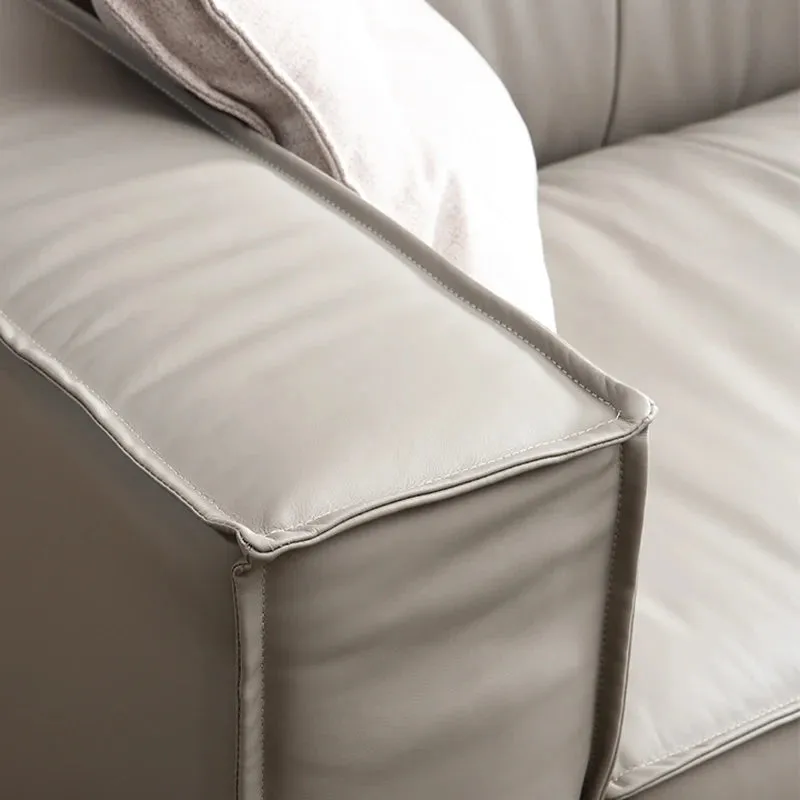 Modern Design Wooden Frame Leather Sofas
