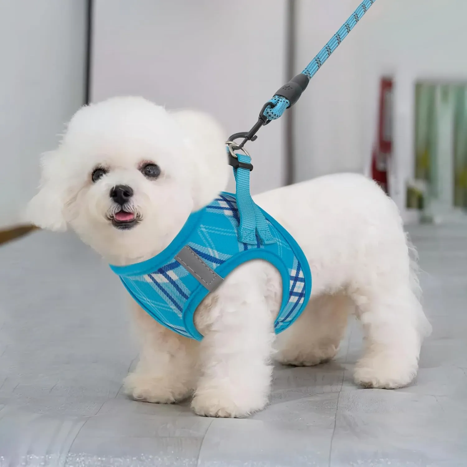 MoNiBloom No Pull Dog Harness w/Leash Set, Reflective Soft Puppy Padded Vest for Walking, Training, Easy to Put on Small Dogs - Sky Blue, S