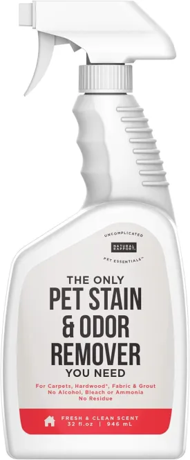 Natural Rapport Pet Stain and Odor Spray - The Only Pet Stain and Odor Remover You Need - Pet Stain Remover Carpet and Upholstery Cleaner Urine Odor Eliminator Spray for Pets (32 fl oz.)