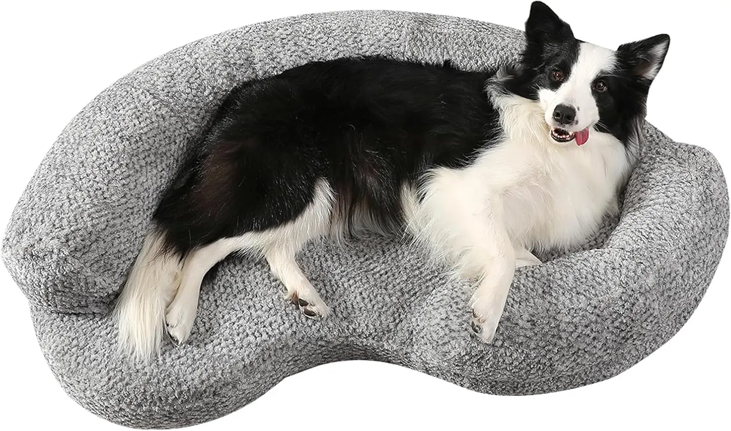 Orthopedic Memory Foam Dog Bed Couch- Waterproof and Washable for All Sized Small, Medium, and Large Dogs - Removable Washable Cover (Small (35 x 24 x 8 Inch))