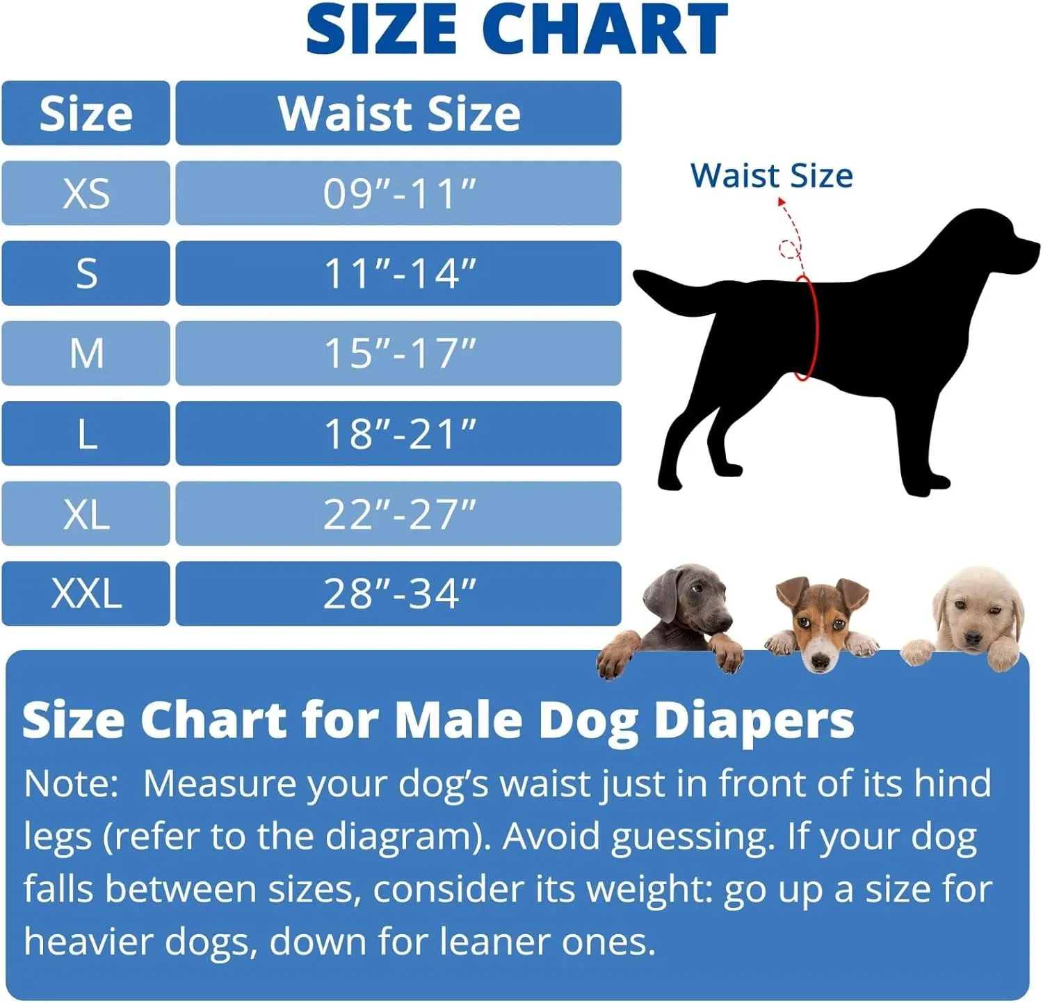 Paw Legend Washable Dogs Diapers Male Dog Belly Bands for Male Dogs Diapers Reusable Puppy & Doggie Diapers Male (3 Pack, Medium)