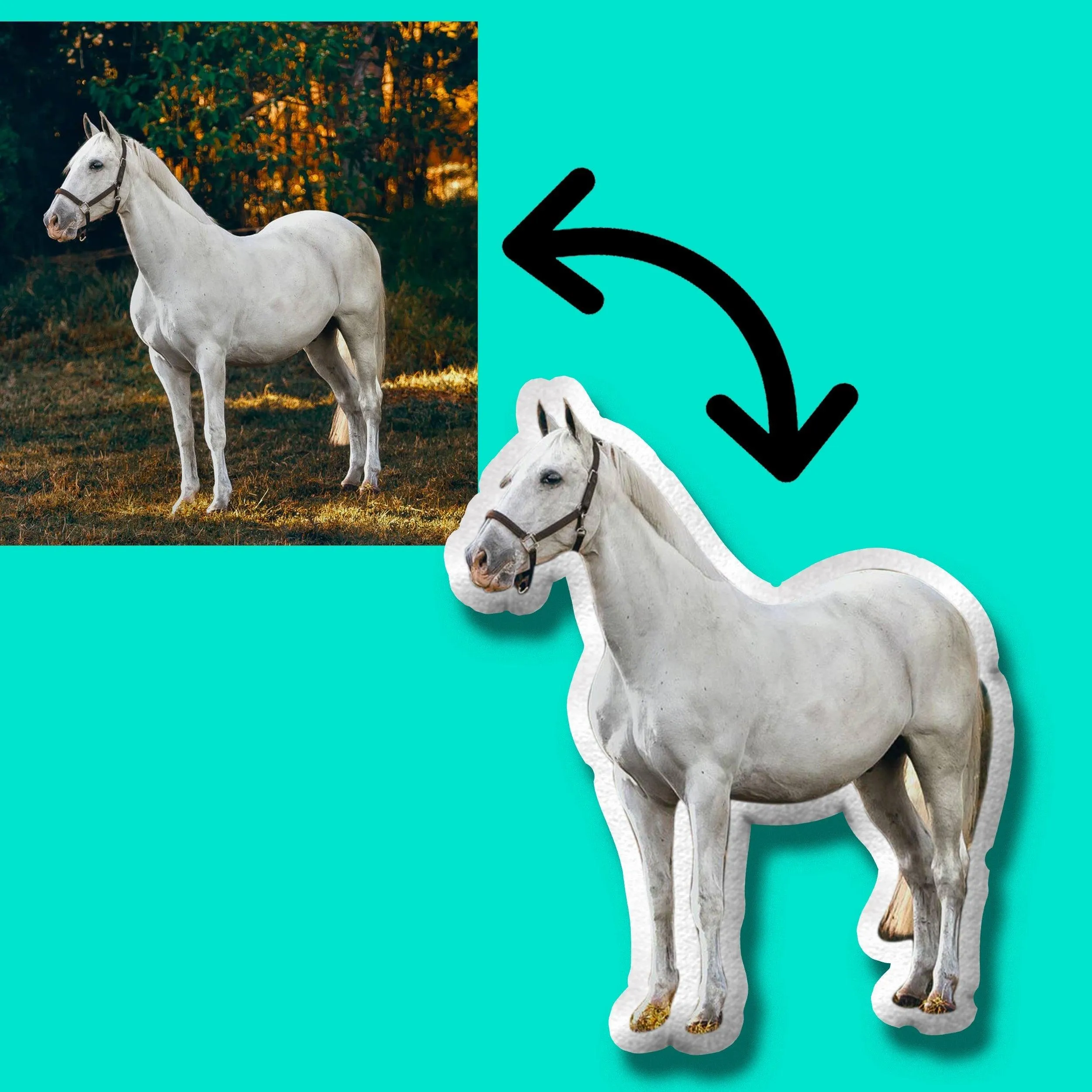 Personalized Horse Gifts | Custom Horse Gifts