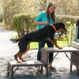 Pet Gear, Foldable Stair, Chocolate - Cap. 350lbs. [Free-Standing]
