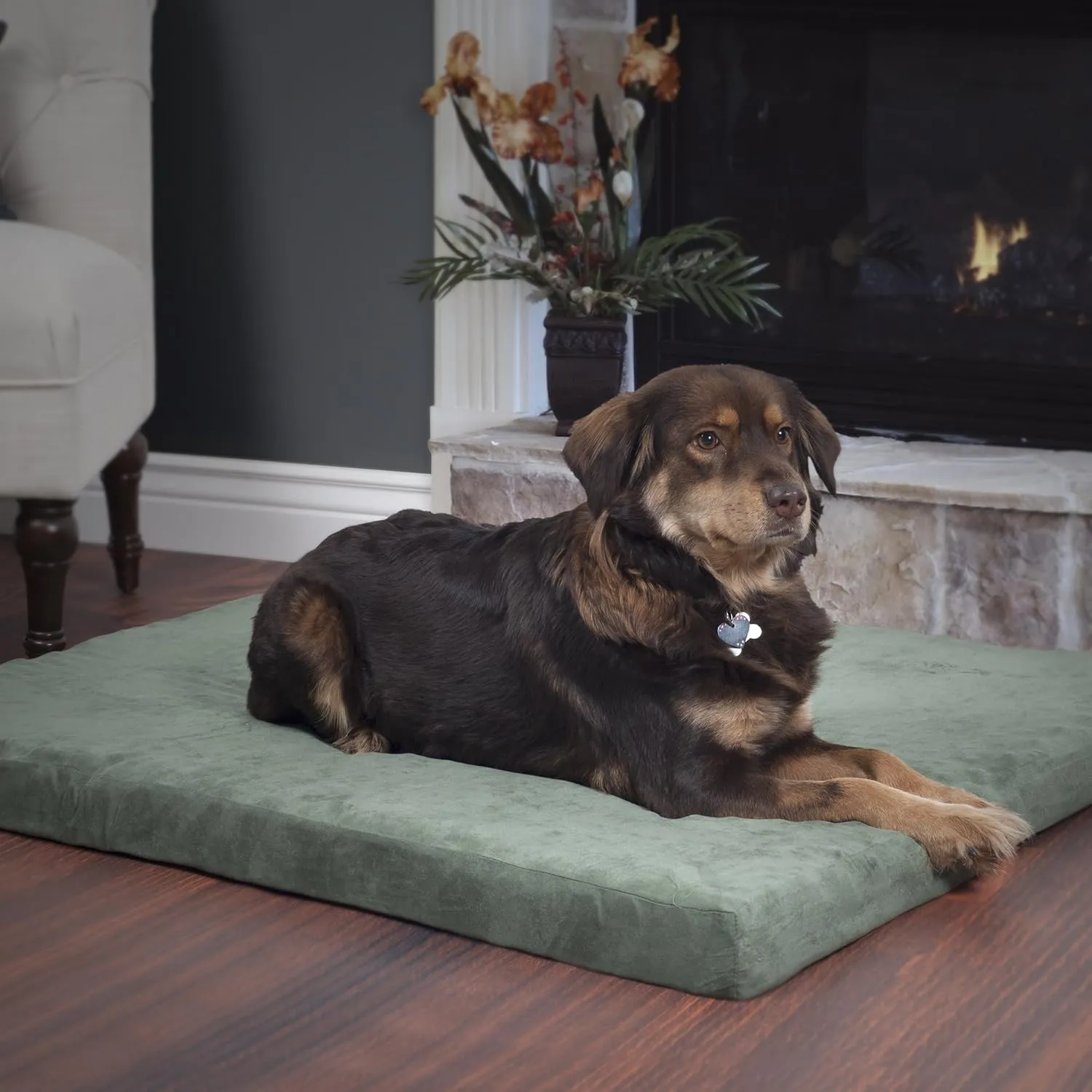 PETMAKER Dog Bed with Removable Cover  25.5x19 Pet Bed - 3-Inch Egg Crate Style Foam Orthopedic Dog Mattress, Microsuede, Non-Slip Crate Mattress (Forest)