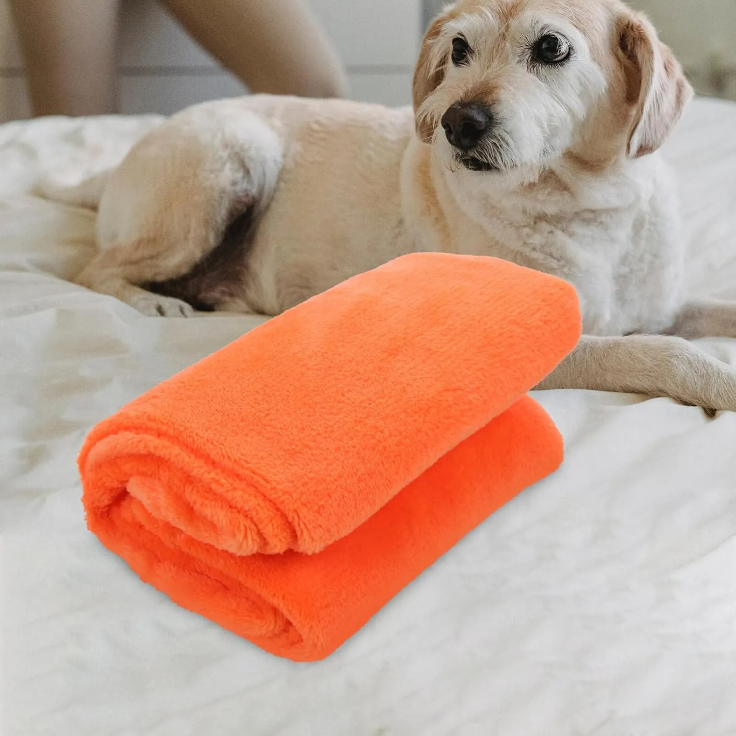 POPETPOP Luxurious Solid Pet Blanket Flannel Fleece Pet Bedding Warm Flannel Blanket for Yearlong Comfort