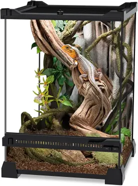Reptile Terrarium, 8"x8"x12" Glass Enclosure Tank with Full View for Small Reptiles, Geckos, Lizards, Snakes, Spiders, Turtles & More