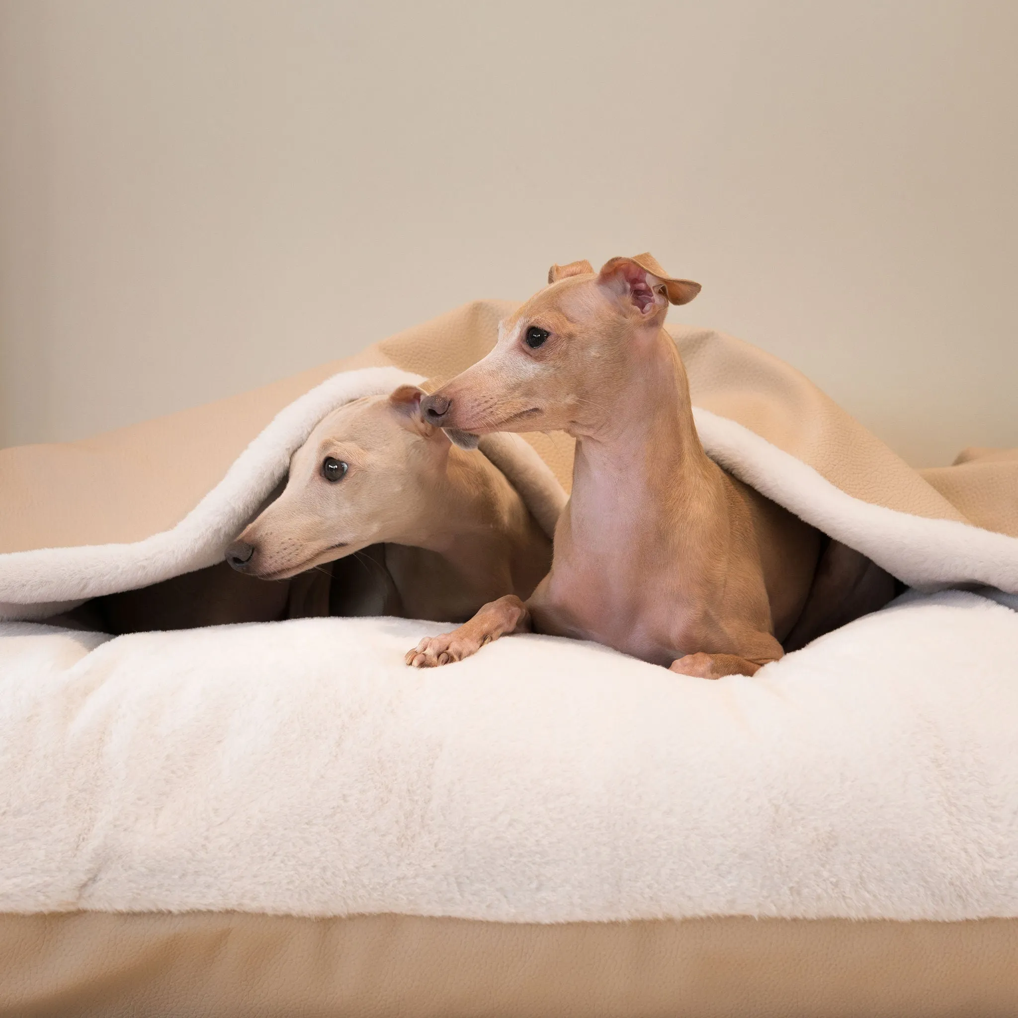Sleepy Burrows Bed in Sand Rhino Tough Faux Leather by Lords & Labradors