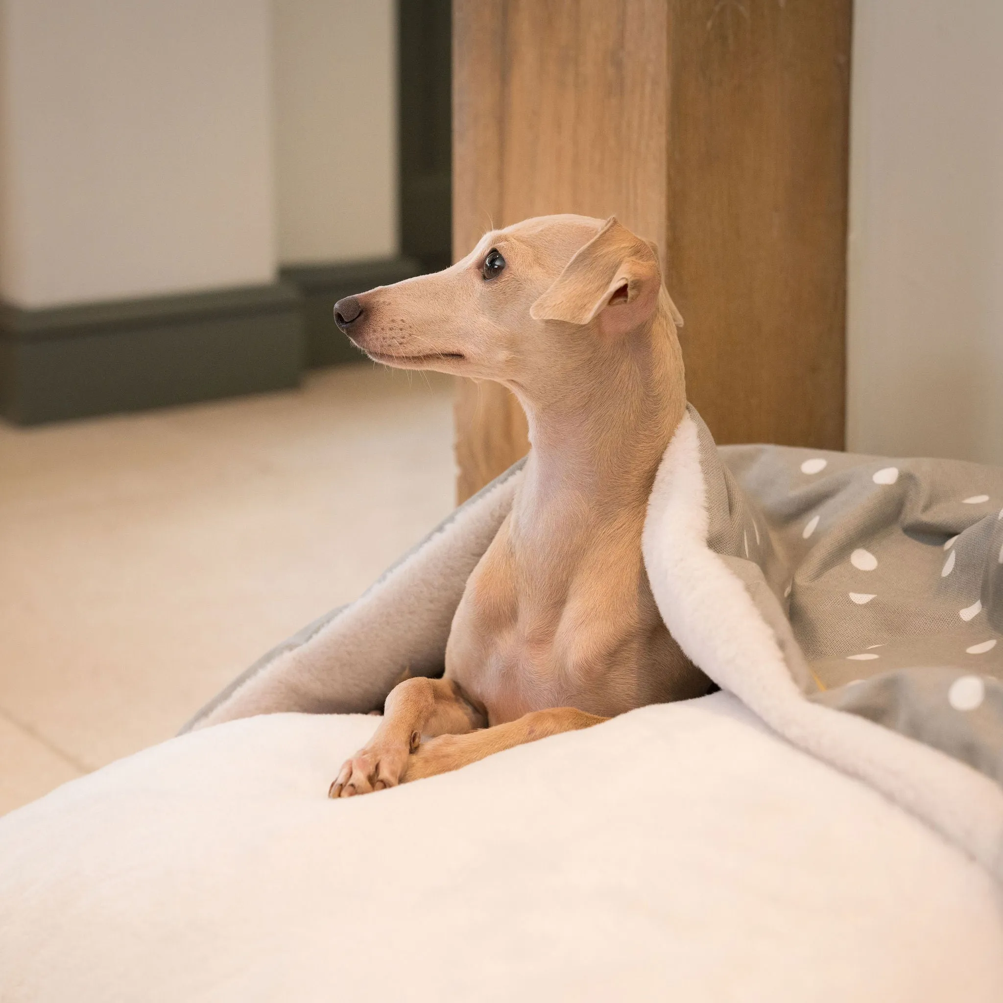 Sleepy Burrows Bed With Removable Cover in Grey Spot by Lords & Labradors