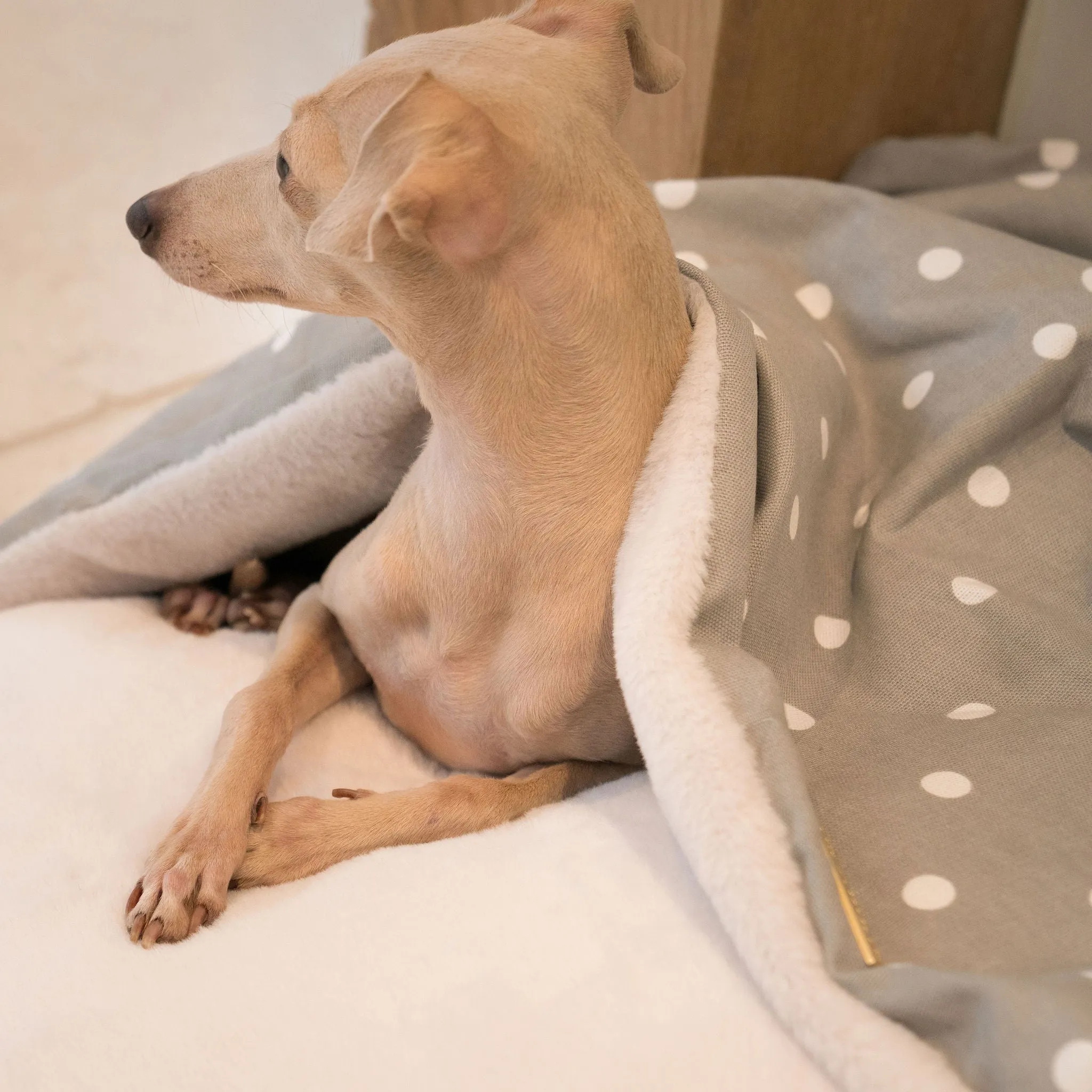 Sleepy Burrows Bed With Removable Cover in Grey Spot by Lords & Labradors