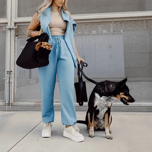 The Everyday Pet Tote in Black