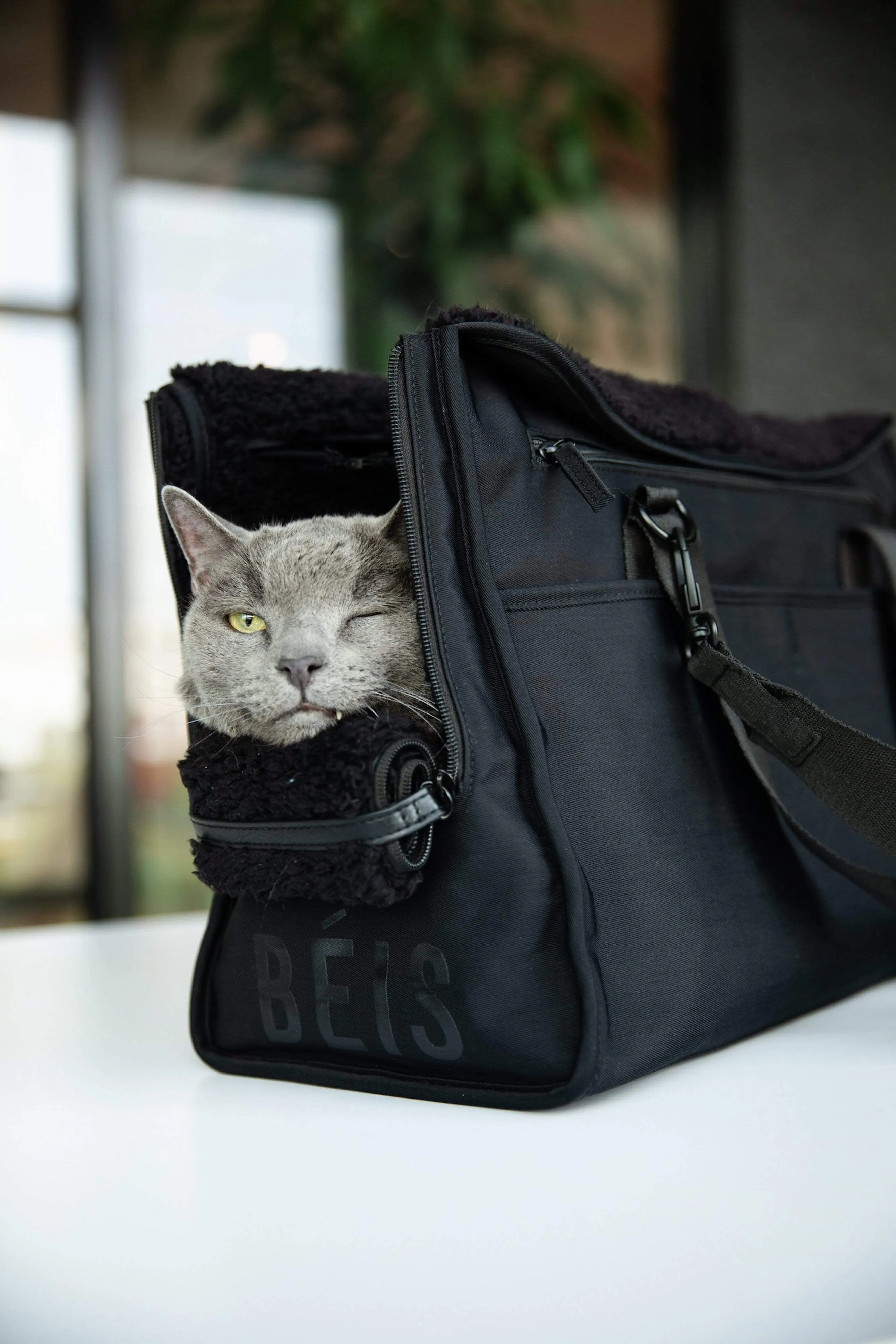 The Everyday Pet Tote in Black