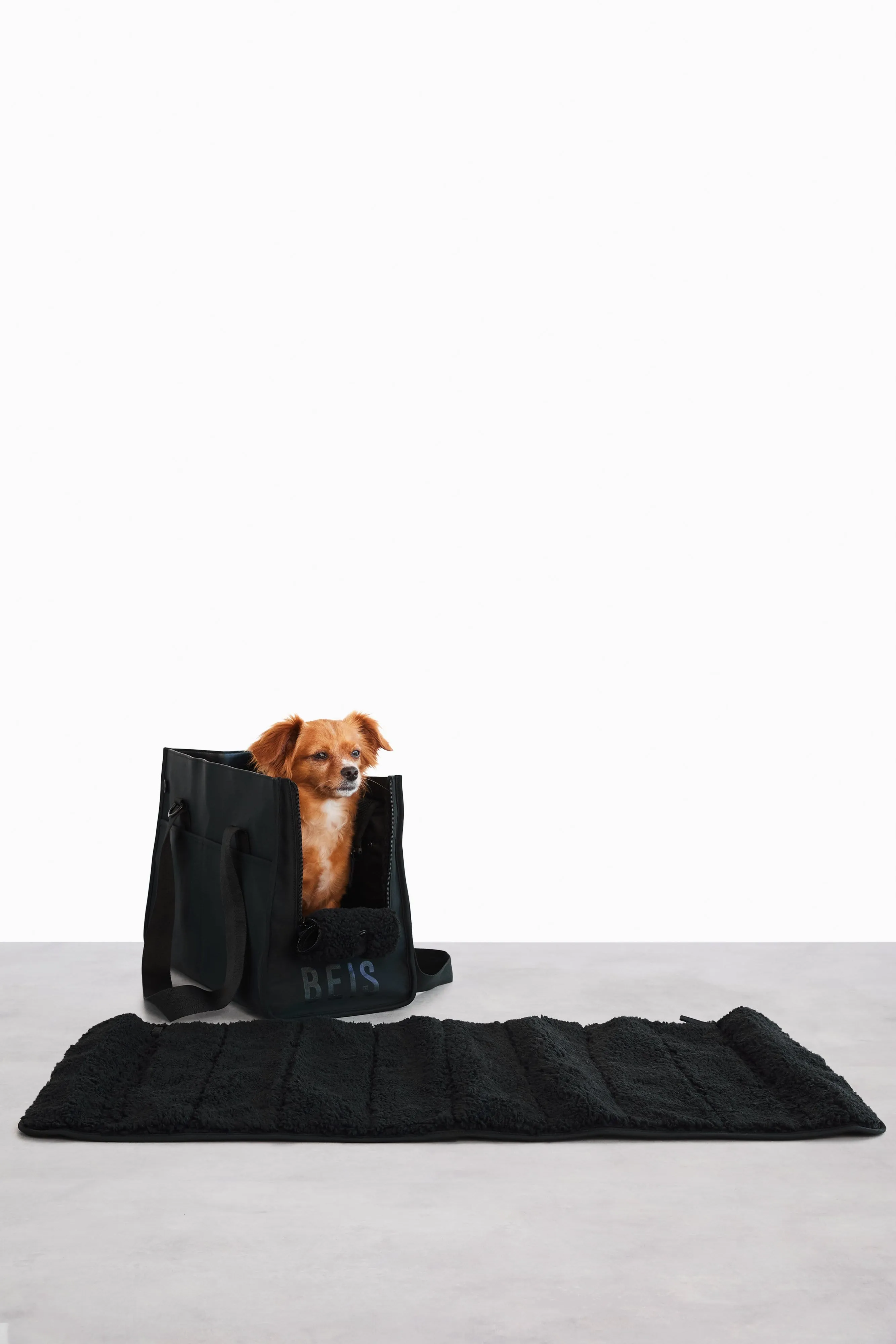 The Everyday Pet Tote in Black