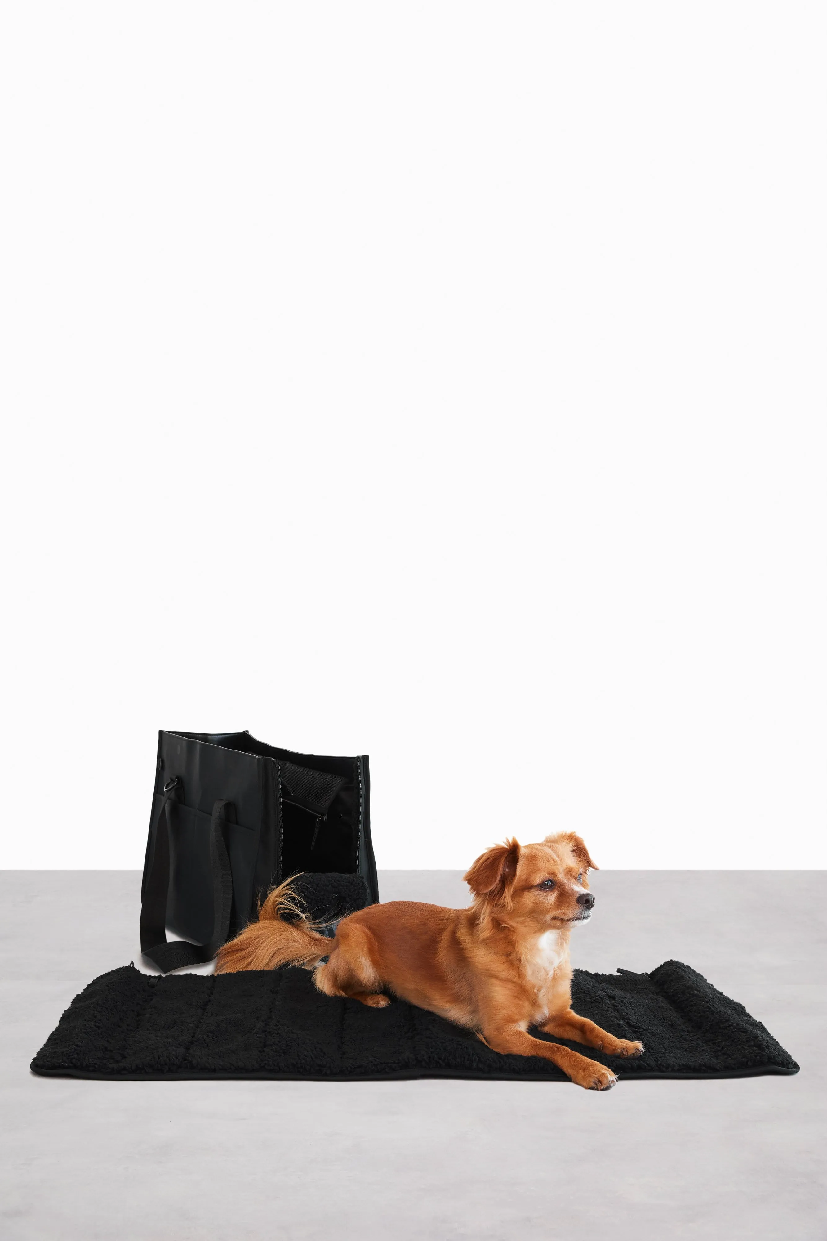 The Everyday Pet Tote in Black
