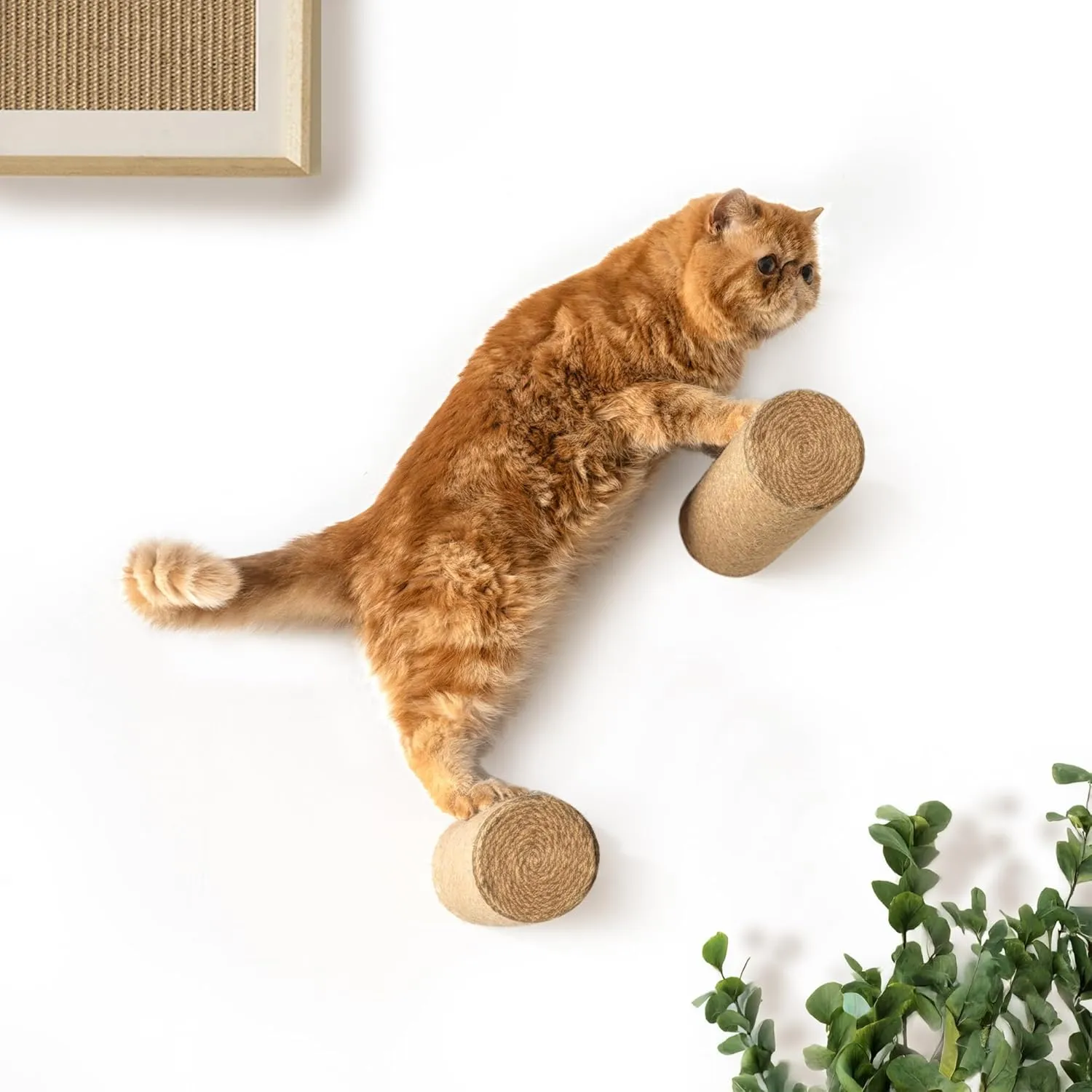 Wall-Mounted Cat Climbing Wall Steps- 2-Pack Wall Steps/Stairs with Sisal Scratching Surface, Cat Wall Shelf Furniture for Climbing, Scratching, and Play, for Kittens and Cats
