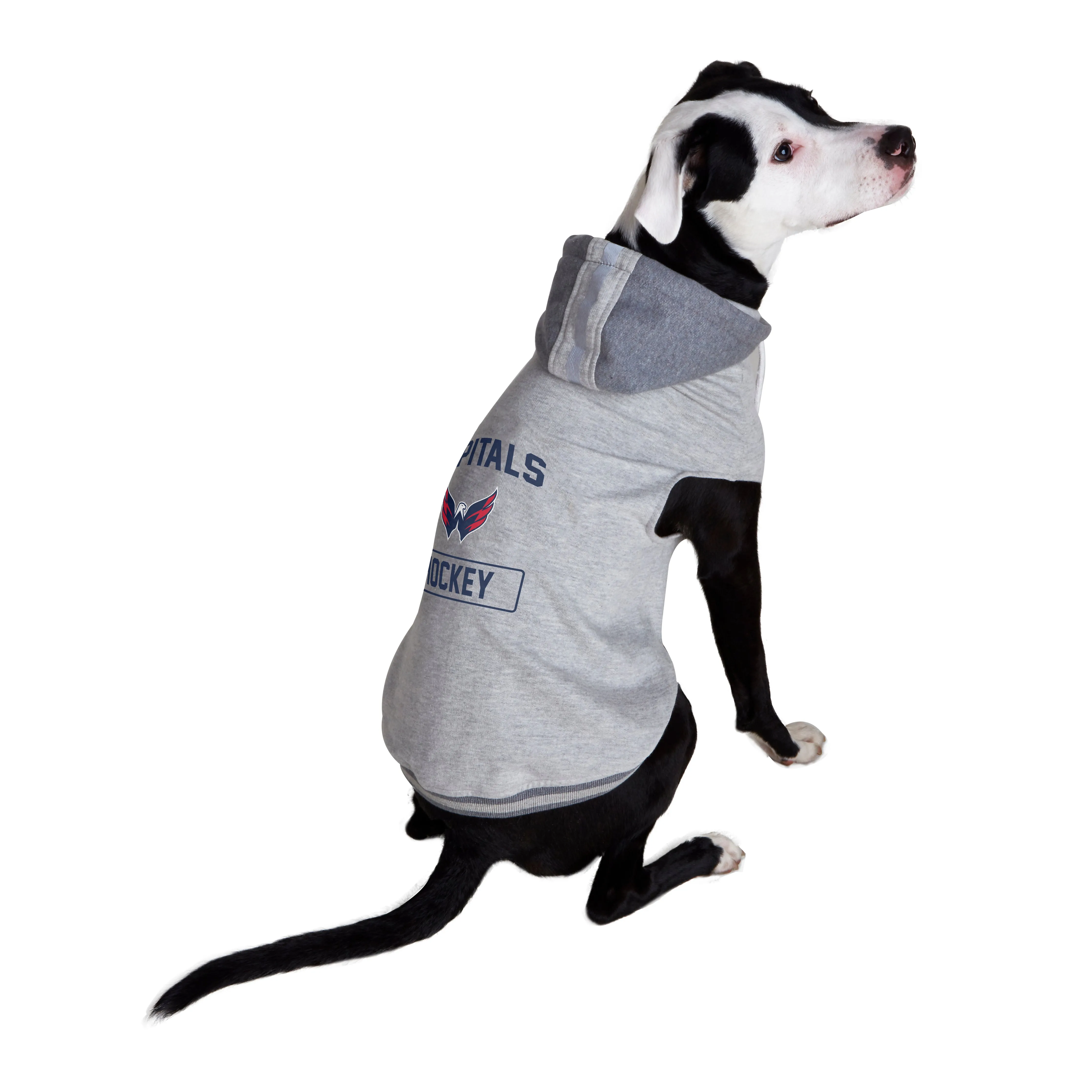 Washington Capitals Pet Hooded Crewneck Type