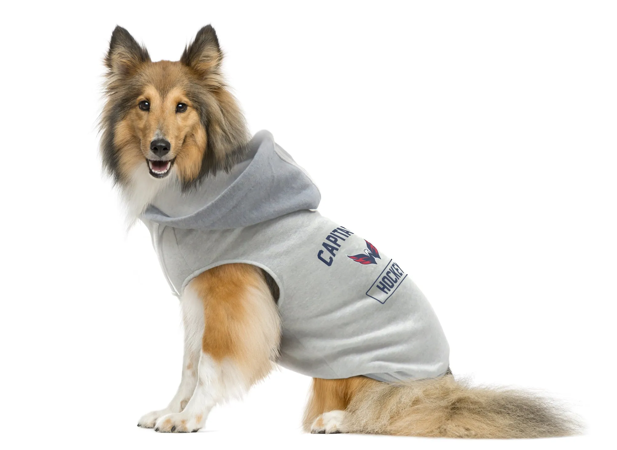Washington Capitals Pet Hooded Crewneck Type